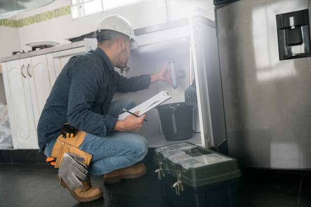 Best Commercial Plumbing Services  in Carson City, NV