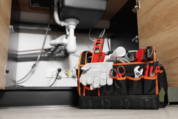 Best Clogged Drain Plumber  in Carson City, NV
