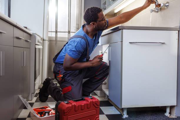 Best Toilet Repair Services  in Carson City, NV